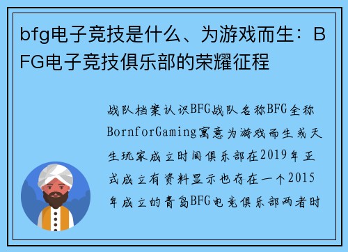 bfg电子竞技是什么、为游戏而生：BFG电子竞技俱乐部的荣耀征程